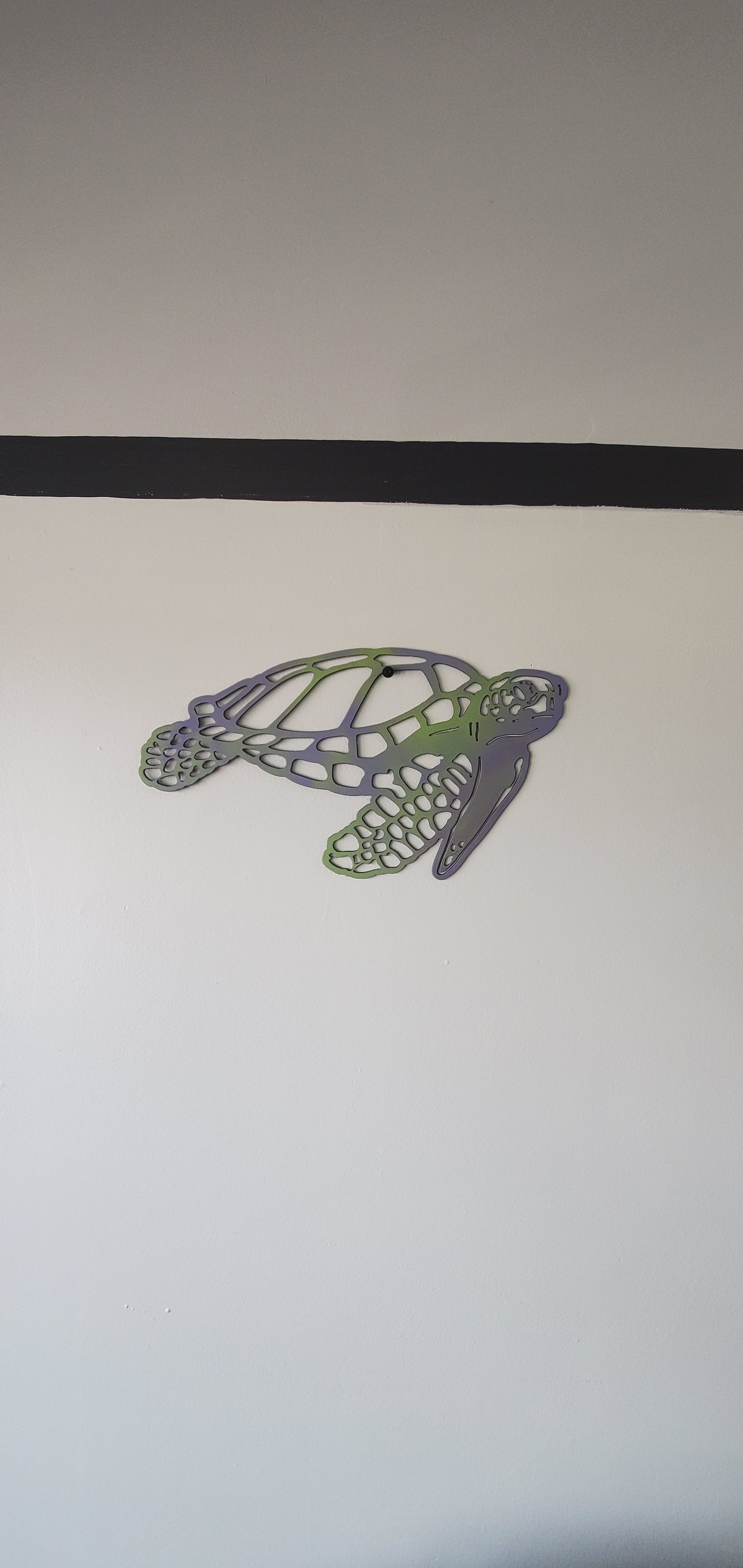 Big Sea Turtle