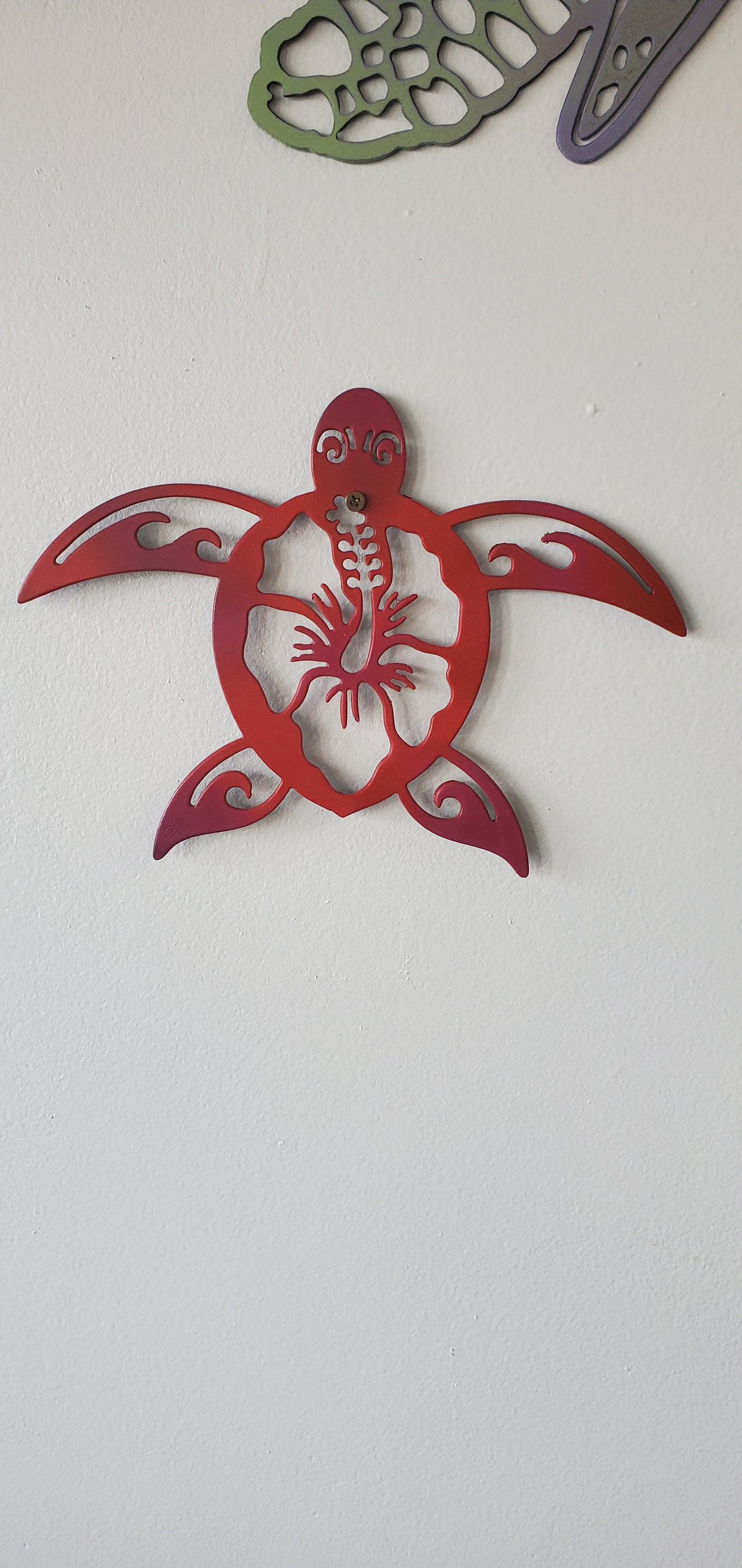 Small Sea Turtle