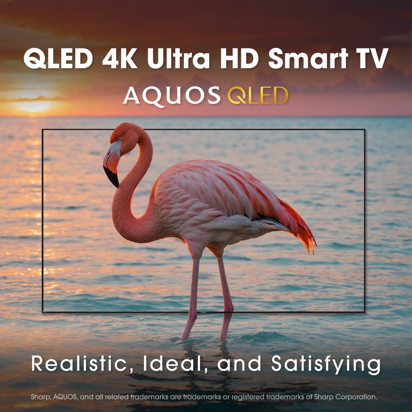 Sharp AQUOS QLED 4K Ultra HD TV with X7 Revelation Processor