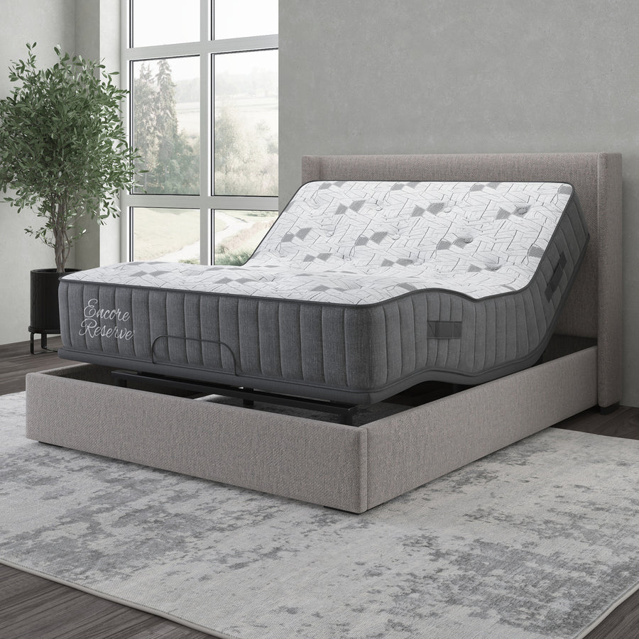 Gray adjustable bed with mattress in a room with large windows and a plant.