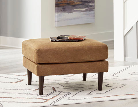 The Telora Collection