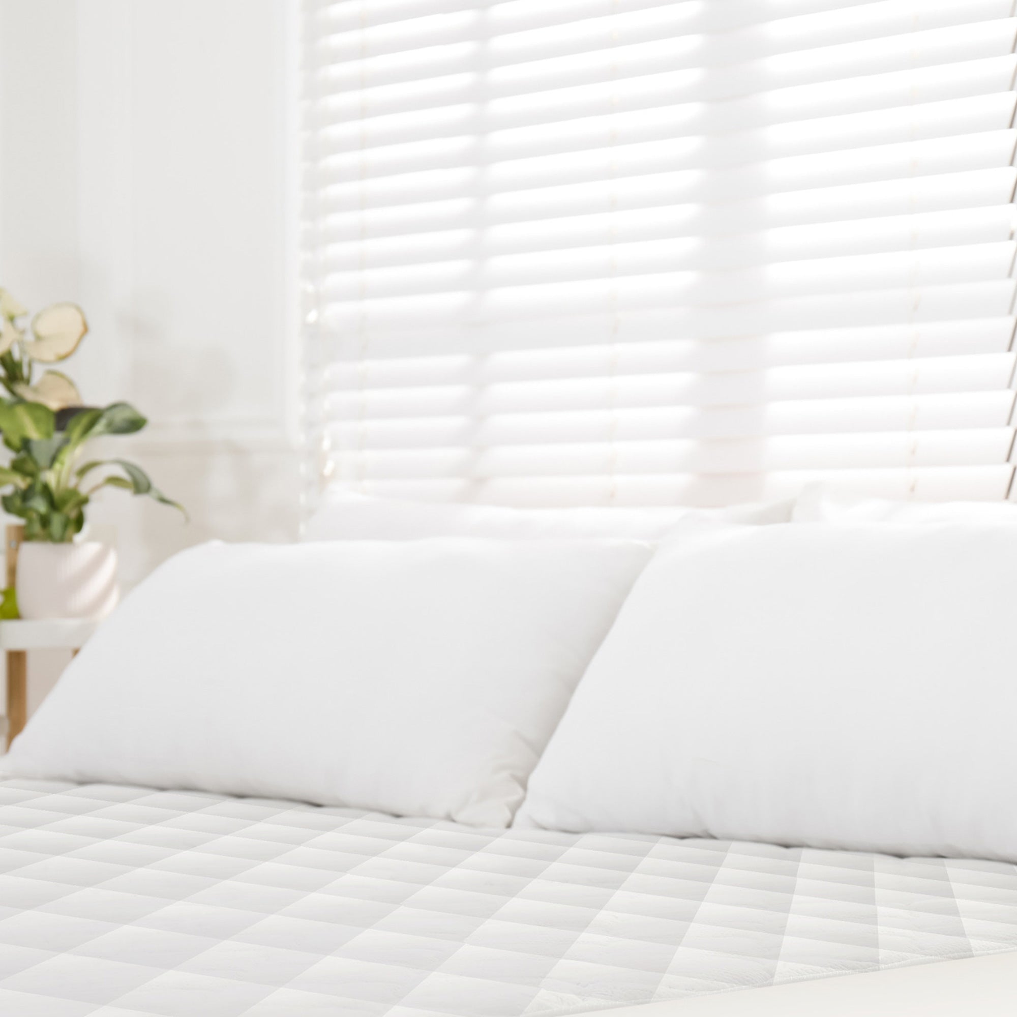 Venice Mattress by American Handcraft 3