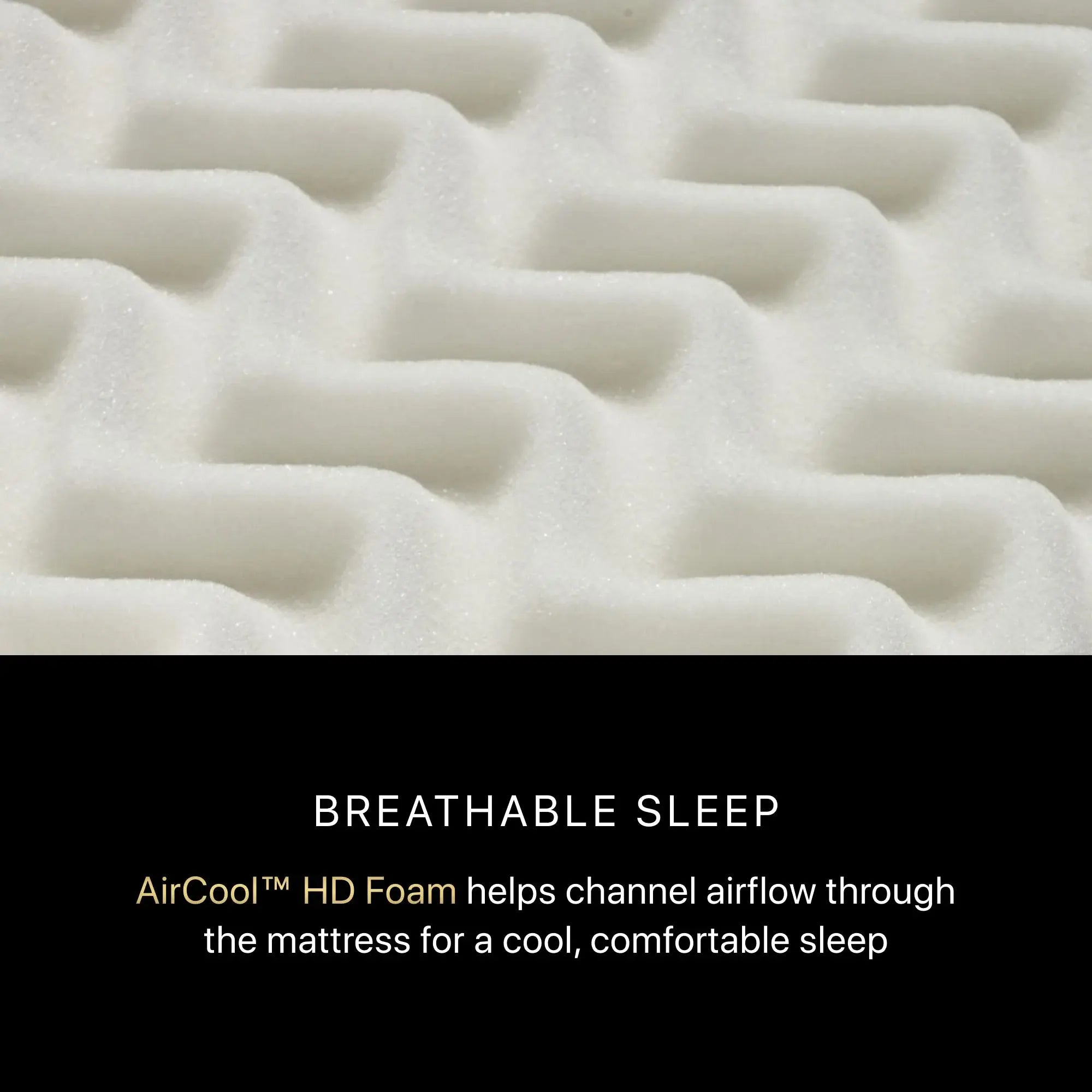 Beautyrest Black 6