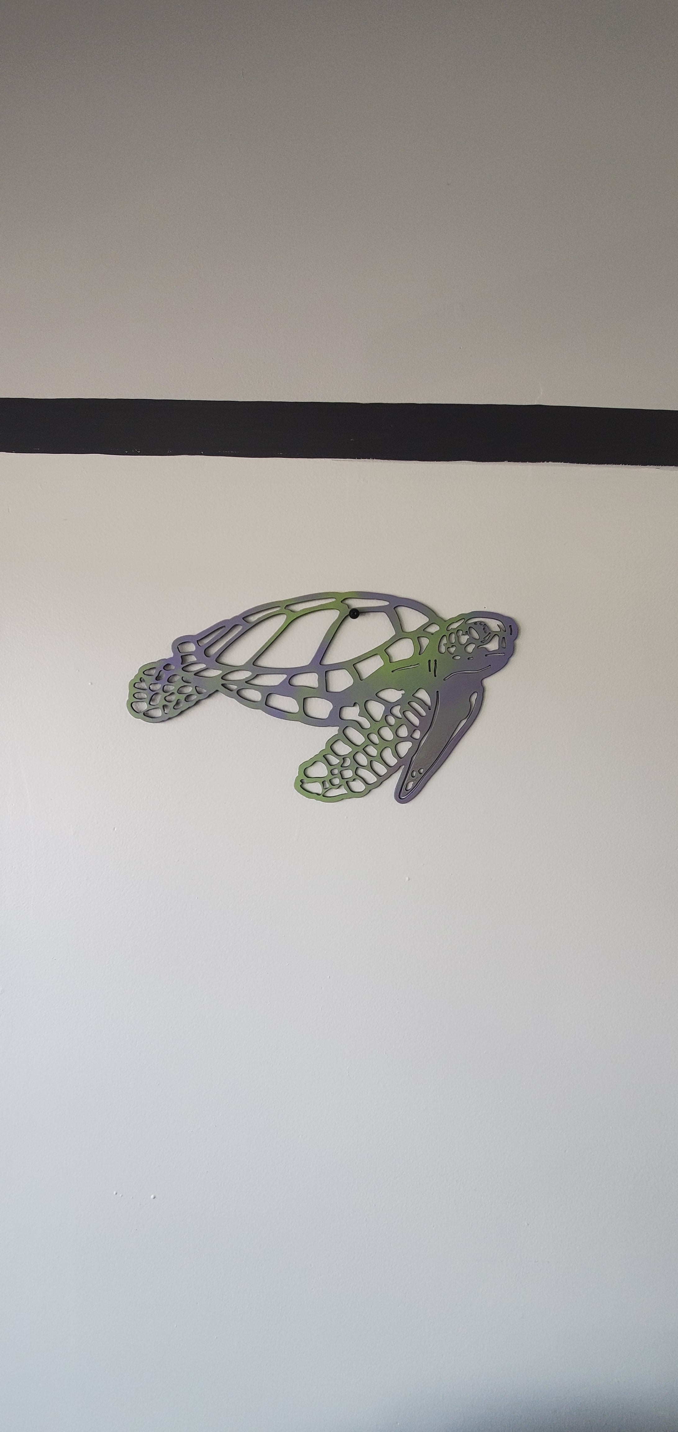 Big Sea Turtle